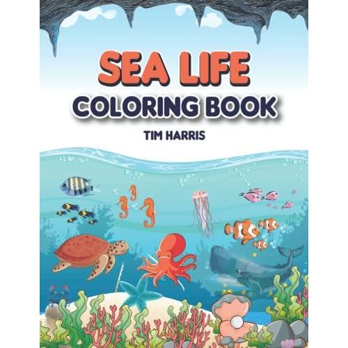 Sea Life Coloring Book: 8.5x11 Detail Level Intermediate