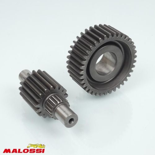 Pont Arrière De Transmission Malossi Pour Scooter Honda 250 Forza 2001 67 9983 / Htq Gears Neuf