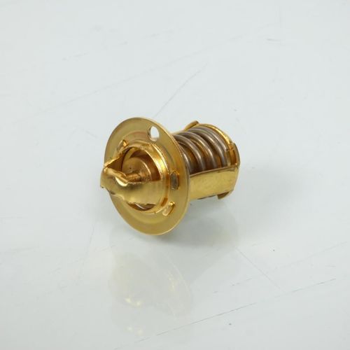 Thermostat Teknix Pour Mobylette Rieju 50 Windy Lc Neuf
