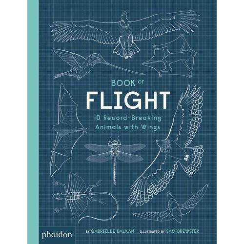 Book Of Flight - 10 Record-Breaking Animals With Wings