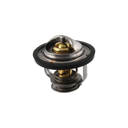 Thermostat Rms Moto Pour Pour Auto Neuf