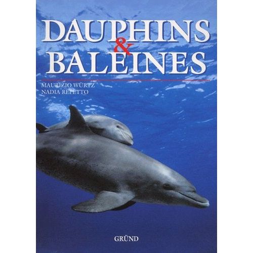 Dauphins Et Baleines
