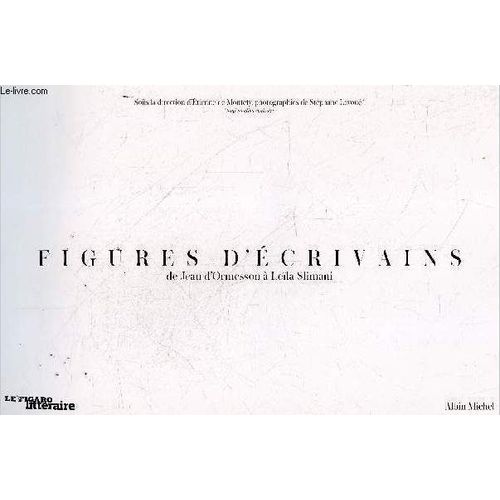 Figures D Écrivains - De Jean D Ormesson À Leïla Slimani - Xavier Patier, Ingrid Astier, Tatiana De Rosnay, Carole Martinez, Charles Dantzig, Belinda Cannone, Eric Fottorino, Marc Lambron, Isabelle(...)