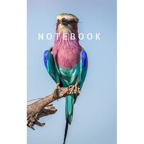 Notebook: The Birdwatcher's Notebook. 120 Lined 8x5 Pages, With Bird Graphic