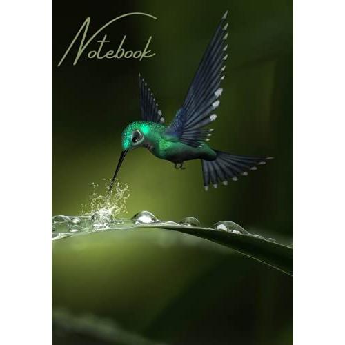 Hummingbird Waterdrop Notebook: Ruled Pages For Journaling Or Writing. 150 Pages, 7x10 Inches.