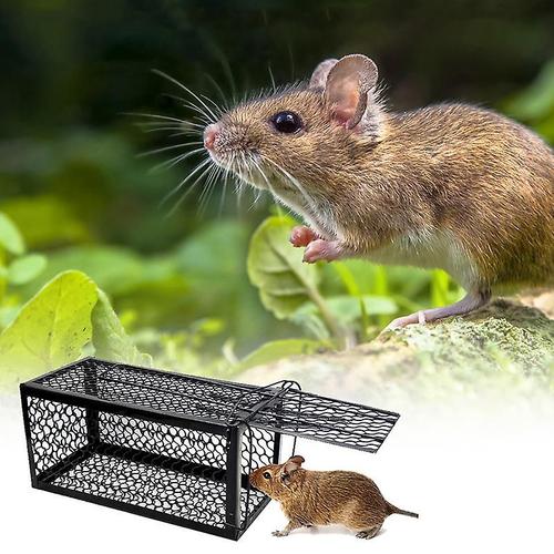 Cage à rat : Acheter pas cher