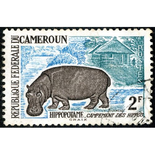 Timbre Oblitéré République Fédérale Du Cameroun, Hippopotame - Campement Des Hippos, Postes, 2 F