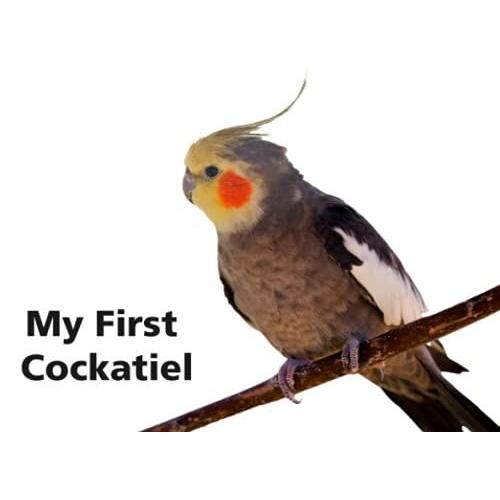 My First Cockatiel: A Beautiful Cockatiel Care Book For Junior Pet Owners