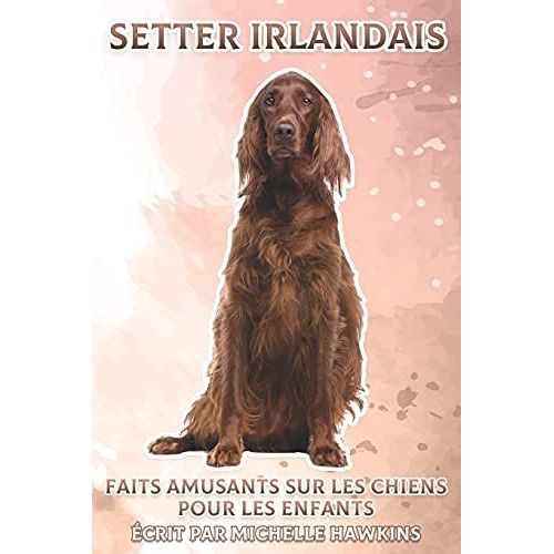 Setter Irlandais: Faits Amusants Sur Les Chiens Pour Les Enfants #35