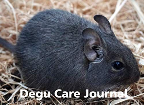 Degu Care Journal: A Beautiful Care Diary For Junior Degu Keepers