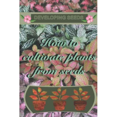Developing Seeds: How To Cultivate Plants From Seeds