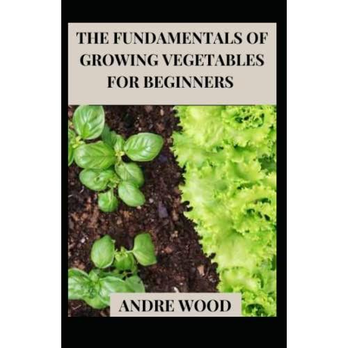 The Fundamentals Of Growing Vegetables For Beginners