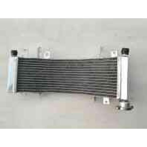 Radiateur Refroidisseur En Aluminium, Liquide De Refroidissement, Pour Suzuki Tl1000r, Tl 1998 R, 2003, 1000, 1998, 1999, 2000, 2001, 2002-2003 Nipseyteko®