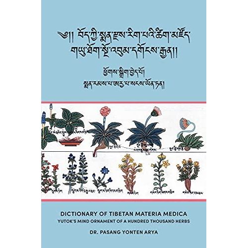 Dictionary Of Tibetan Materia Medica (Bod Kyi Sman Rdzas Rig Pa'i Tshig Mdzod)