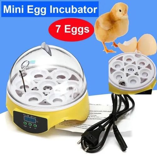 Couveuse Automatique Digital Incubateur Machine À Couver 7 Oeufs Poule