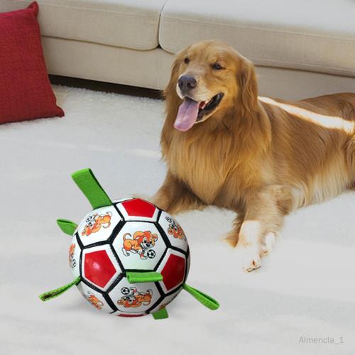 Jouet pour chien, balle de football pour chien, jouets interactifs