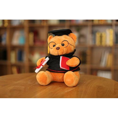 Ours En Peluche Avec Lunettes- 18 Cm, Diplôme Et Chapeau De Docteur - Peluche Pour La Remise Des Diplômes, Le Lycée Ou L'université