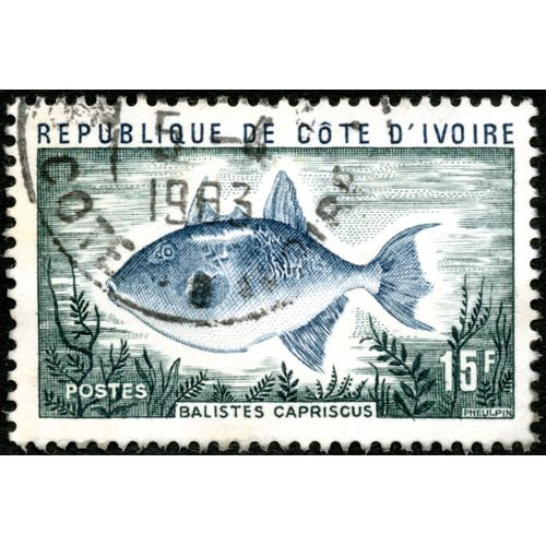 Timbre Oblitéré République De Côte D'ivoire, Balistes Capriscus, Postes, 15 F