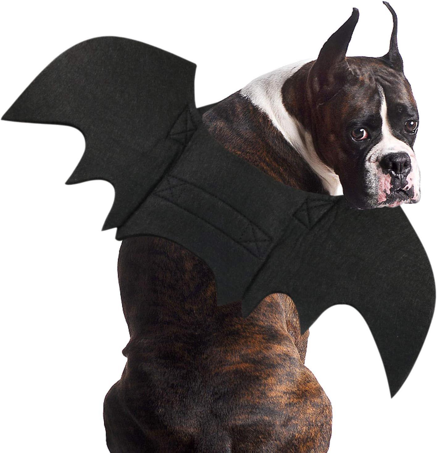 S) Ailes de chauve-souris de chat, costume d'Halloween pour chat