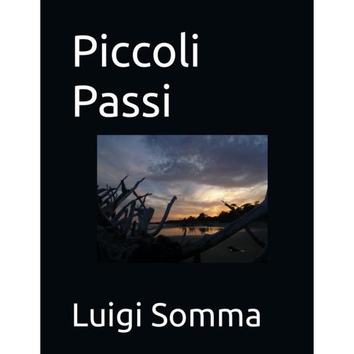 Piccoli Passi