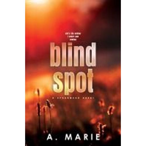 Blind Spot Discreet Cover