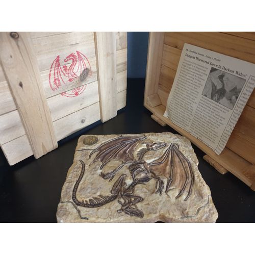 Fossile De Dragon - Dragonbones 2000
