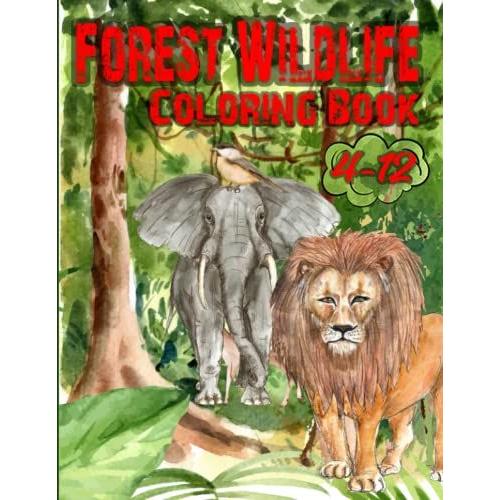 Forest Wildlife Coloring Book: 50 Amazing Love Filled Forest Animal, Bird Images. Fantastic, Outstanding, Funny , Sweets Wildlife Book, Lovely Natural More!