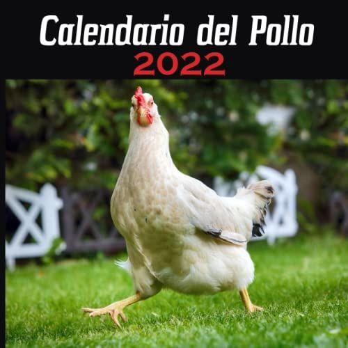 Calendario Del Pollo 2022: 12 Meses |Divertido Calendario De Pollos Para Mujeres Hombres Niños Adolescentes Amigos De La Oficina Compañeros De Trabajo ... Año Nuevo, Cumpleaños... | 12 Fotos En Color