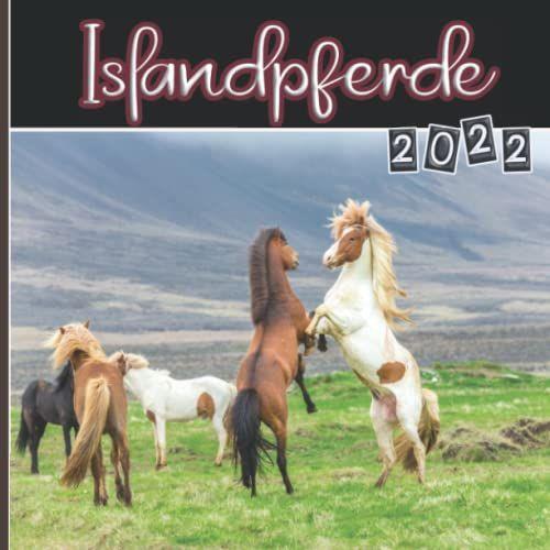 Islandpferde 2022: Ein Monatskalender | Januar Bis Dezember 2022 | Mit Bildern Der Islandpferde | Lustiges Islandpferde Kalender Für Frauen Männer ... Für Weihnachten, Neujahr, Geburtstag ...