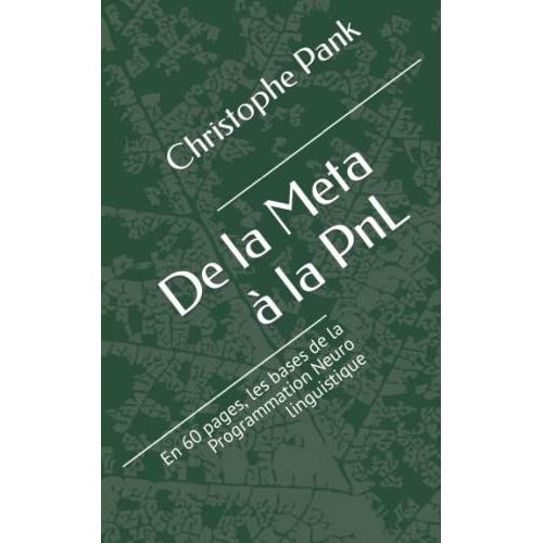 De La Meta À La Pnl: En 60 Pages, Les Bases De La Programmation Neuro Linguistique