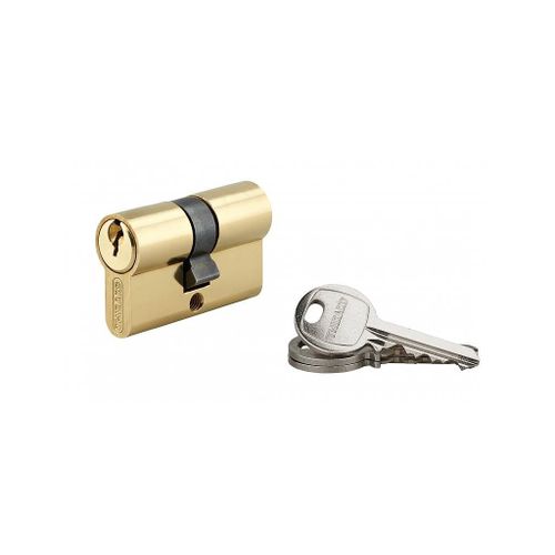 Cylindre de Serrure 21 x 21 mm 3 cl?s 16244 Thirard