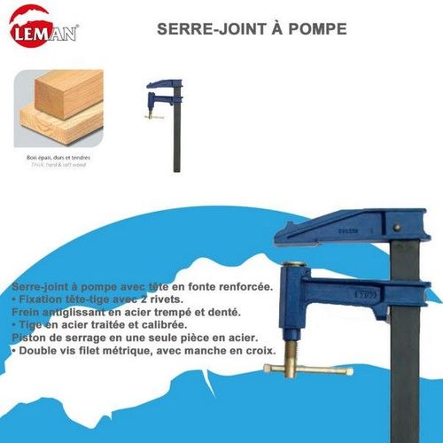 Leman - Serre-Joint à Pompe Tige Acier Saillie 120 Section 35x8 Serrage 1000 Sidamo