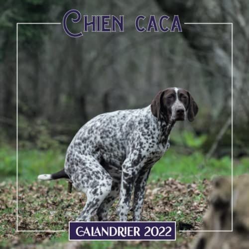 Calanadrier 2022 Chiens Caca: Cadeaux Drôles Du Calendrier 2022 Mensuel De 12 Mois ( De Janvier À Décembre 2022 ) Avec Note | Spècialement Pour Les ... Pour Homme, Femme, Adolescent, Enfant