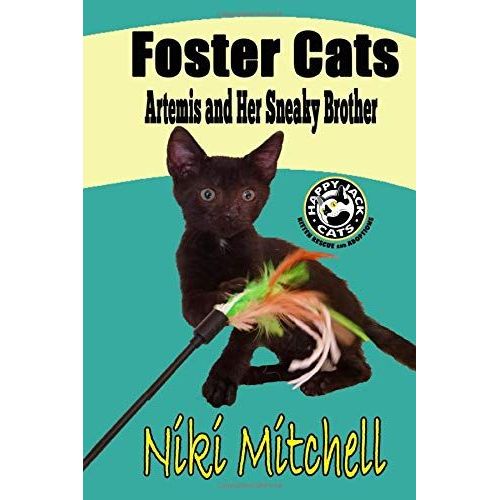 Foster Cats: Artemis And Her Sneaky Brother (A Happy Jack Cats Adventure)
