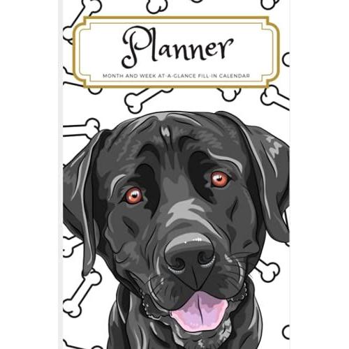 Labrador Dog Monthly Weekly Fill-In The Blanks Planner Calendar, 6" X 9"