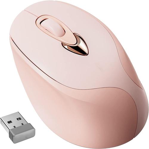 Souris Sans Fil Rechargeable de Souris Bluetooth pour MacBook Pro, Souris  Sans Fil Bluetooth pour Ordinateur Portable (Or Rose) Or Rose - 