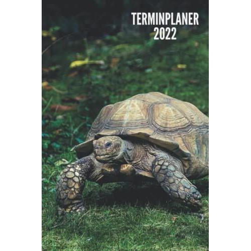 Terminplaner 2022: Schildkröte - Wochenplaner (1 Woche 2 Seiten) | 12 Monate | Kalenderbuch, Terminkalender Von Januar Bis Dezember 2022 Ideal Für ... Kontaktliste, Notizen - Klein Taschenformat