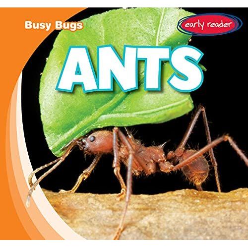 Ants