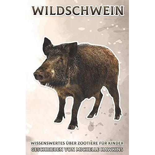 Wildschwein: Wissenswertes Über Zootiere Für Kinder #16