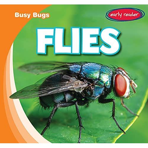 Flies