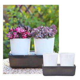 Mèche Auto-arrosage De 15 M Pour Auto-arrosage - Pot De Fleurs DIY - Système D'arrosage Automatique - Pour Plantes En Pot - Violet Africain - Traitement De L'eau Goutte à Goutte - Corde