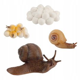 Nature Sauterelle / Escargot Croissance De La Figure Des Enfants