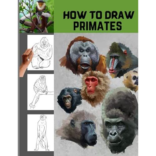 How To Draw Primates: Simple Step-By-Step Lessons For Drawing Primates And Mammals
