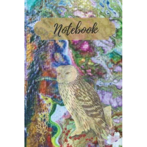 Owl Notebook, 6x9 Inch Journal. Good For Home- Note Taking- Traveling- Diary. Creative Paperback.