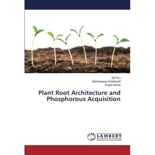 Plant Root Architecture And Phosphorous Acquisition