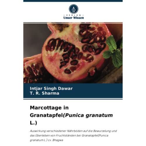 Marcottage In Granatapfel(Punica Granatum L.)