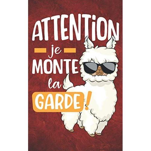 Attention Je Monte La Garde !: Carnet De Mots De Passe - Gardez Vos Adresses Internet Et Codes Secrets En Sécurité Dans Ce Répertoire Au Format De Poche