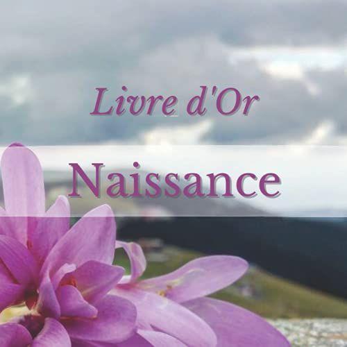 Livre D'or Naissance: Livor-Nai-Fr-001 Souvenirs De La Naissance Et Photos De Bébé. A Remplir Pour Félicitations, Remerciements Et Dédicaces Par Votre Famille Et Vos Amis