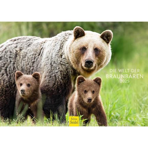 Calendrier Premium Ours 2025 Format Din A4 Calendrier Mural En Allemand Our Animaux Sauvages Prédateurs