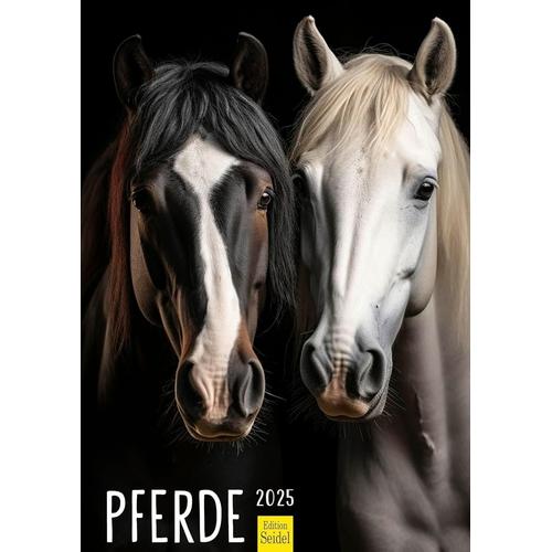 Calendrier Premium Chevaux 2025 Format Din A3 Calendrier Mural En Allemand Poulain Jument Étalon Poney Animaux